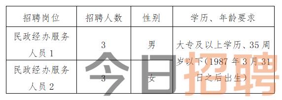 泗阳县统计局最新招聘启事概览