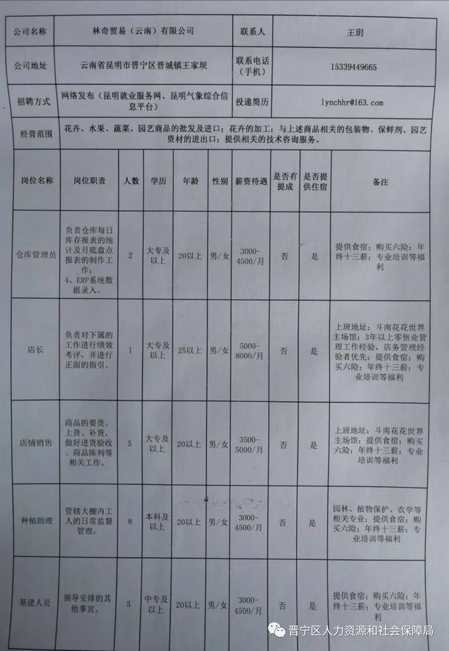 通海县数据和政务服务局最新招聘详解