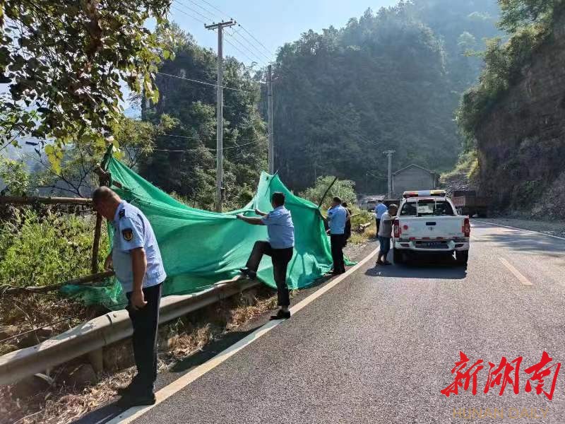 翠岩镇交通升级助力地方发展最新消息