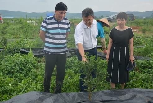 种蓄场新领导引领变革，推动可持续发展进程