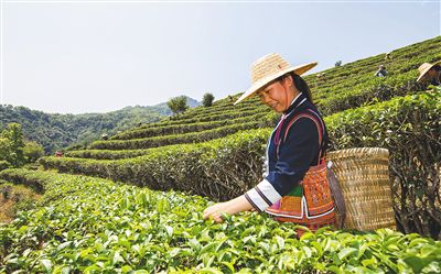 水满乡交通新闻更新，现代化交通建设步伐加快