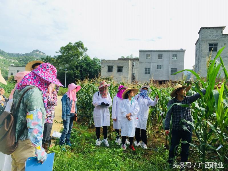 上林县自然资源和规划局领导团队最新概况