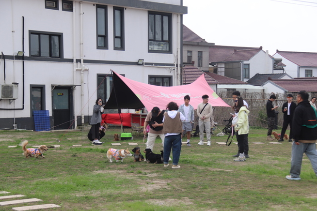 拉恩村新任领导引领村庄开启新篇章