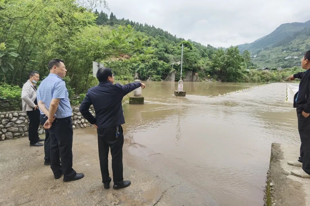 赶水镇交通新闻更新，现代化交通体系建设步伐加快