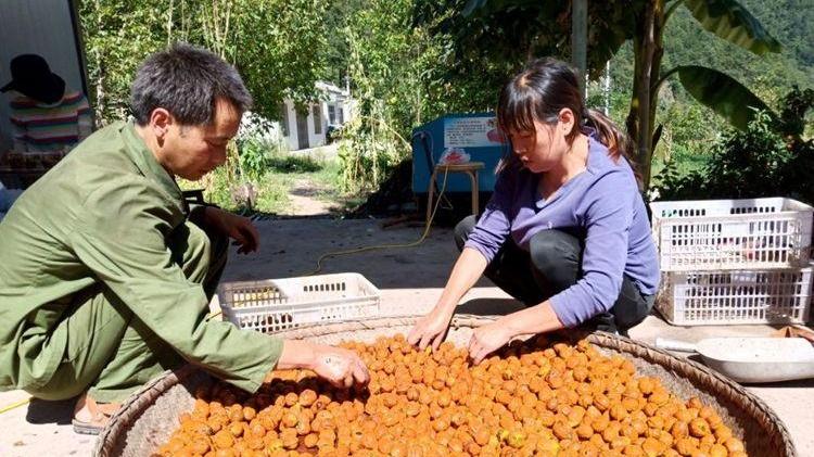 宁陕县初中最新项目，引领教育革新，塑造未来之光启航计划