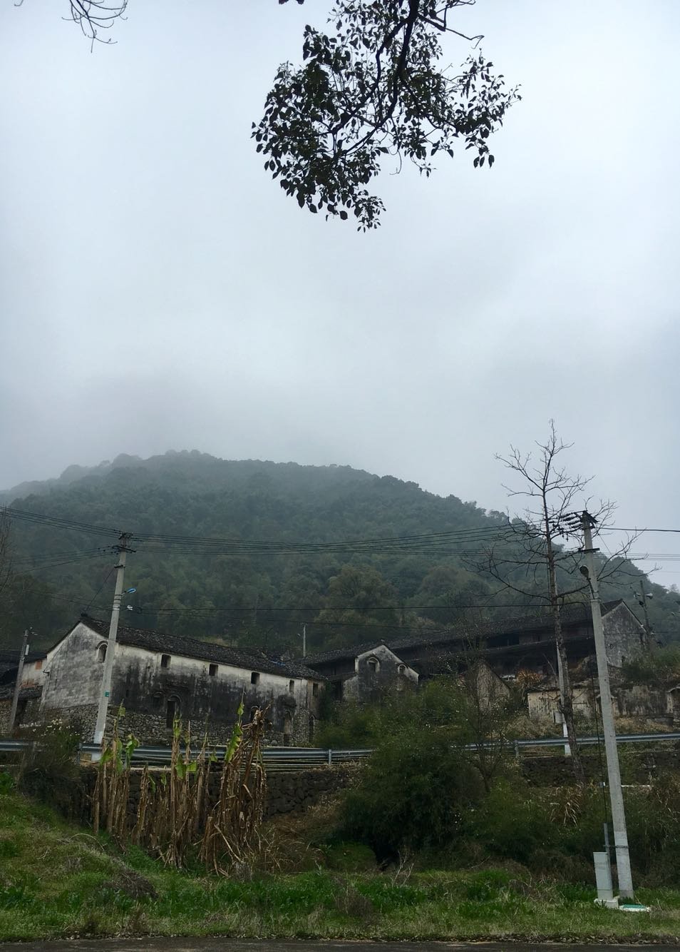 东岩村天气预报更新通知