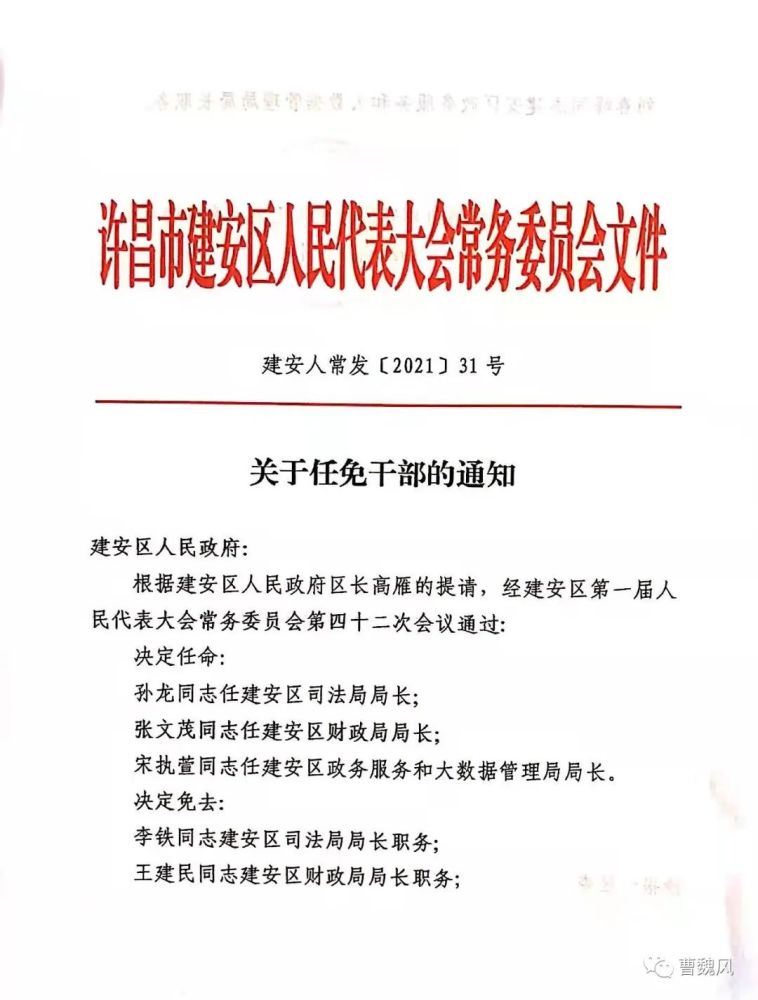 南岗区司法局人事任命动态与影响分析