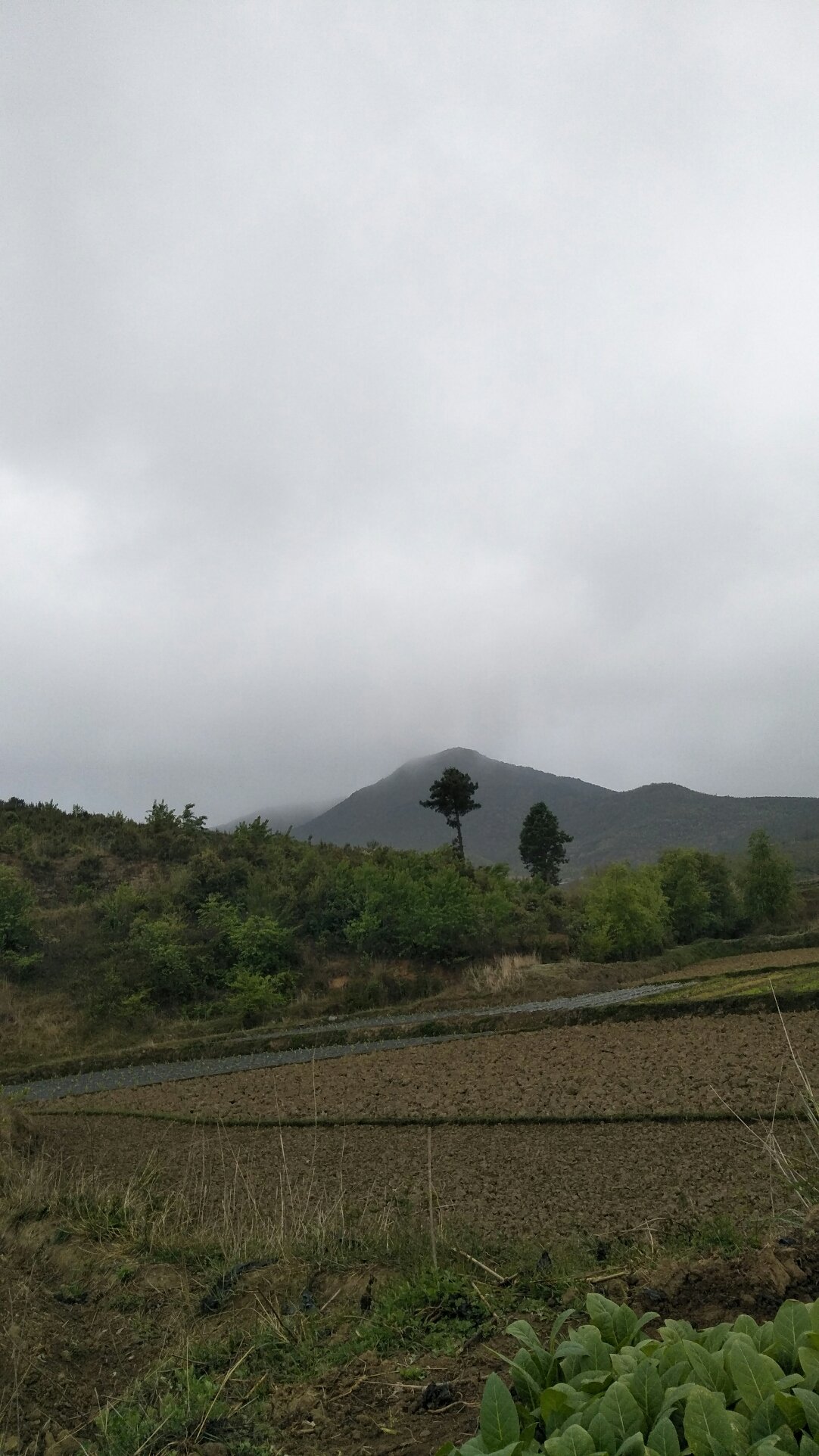 果耶乡天气预报更新通知